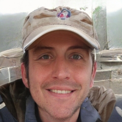 author avatar