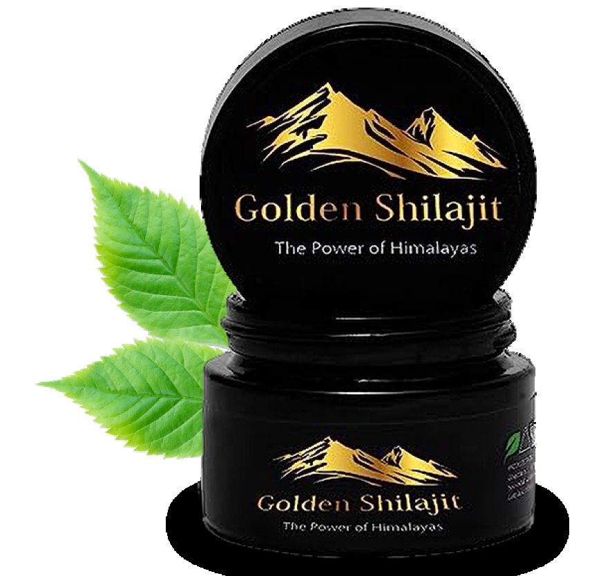 Unveiling the Natural Elixir: The Marvels of 100g Liquid Shilajit Resin