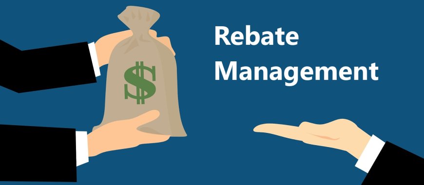 Increase Your Profits by Taking Advantage of Rebate Management Software