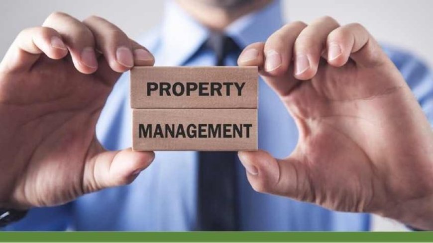 What Can Property Management Companies Do for You? A Comprehensive Guide