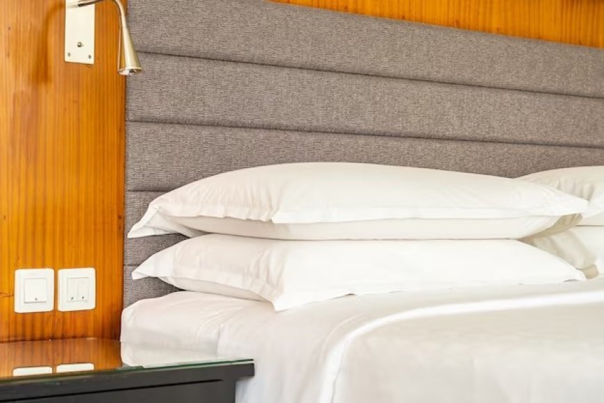 Dreamy Nights: Unveiling the Secrets of Hotel Pillow Bliss