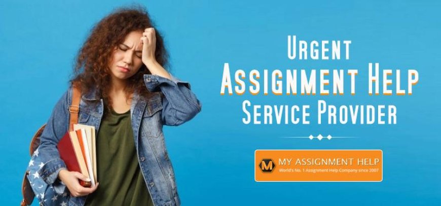 Assignment Help UK: Your Academic Lifeline for Stress-Free Studies