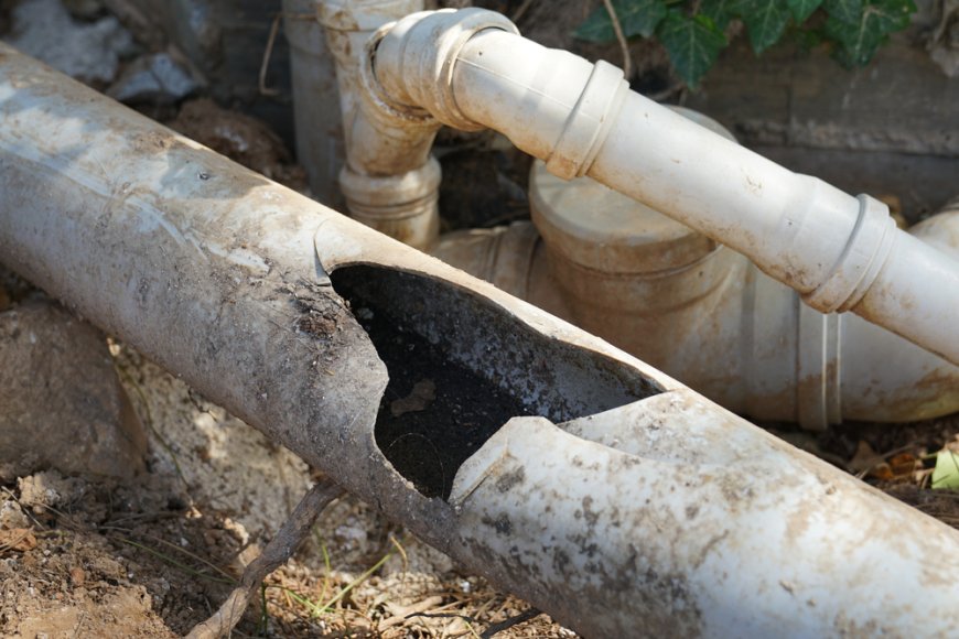 Sewer Line Issues You Should Watch Out For