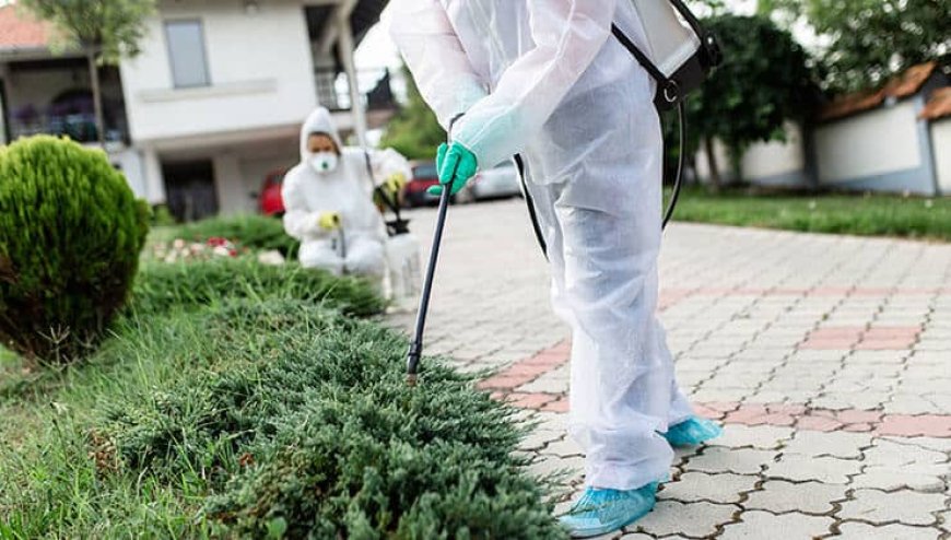 From Infestation to Elimination:  Tips and Tricks for Successful Residential Pest Control in Lansing
