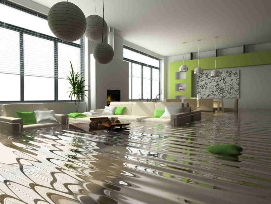 Common Water Damage Problems and How Local Restoration Company near You Can Help