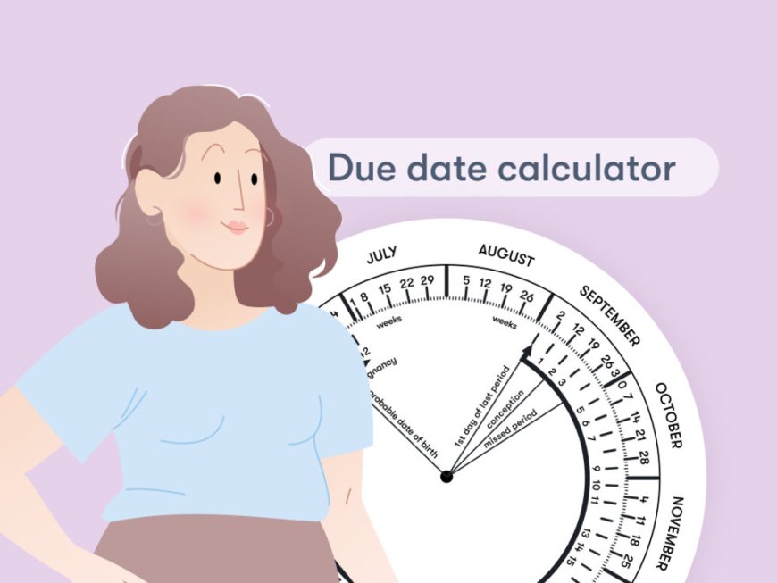 How Does a Pregnancy Calculator Work?