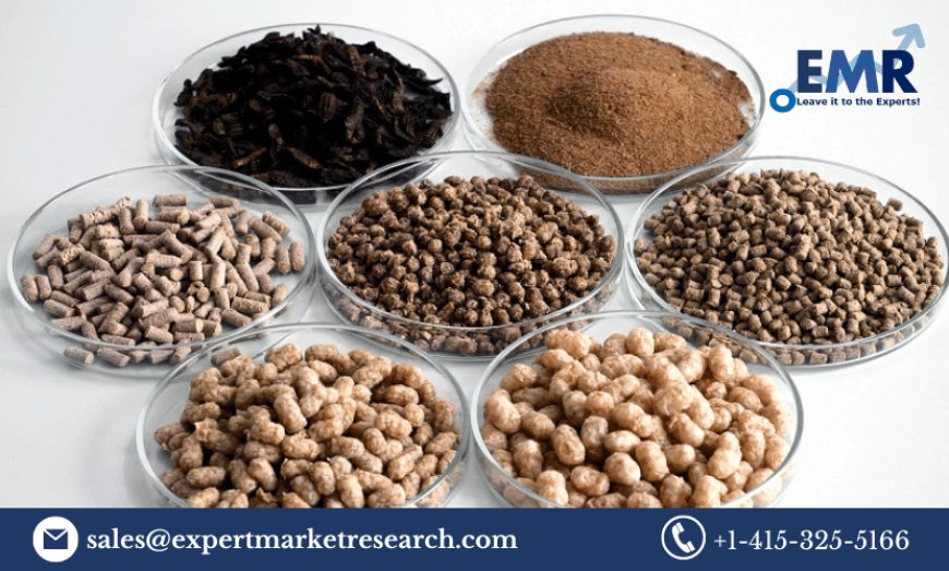 Global Aquaculture Feed Market Share, Size, Price, Analysis, Report and Forecast Period Of 2023-2028