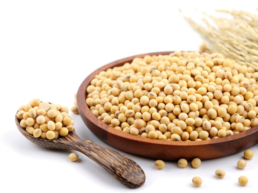 Soy Protein Market Report, Industry Share & Trends 2023-2028