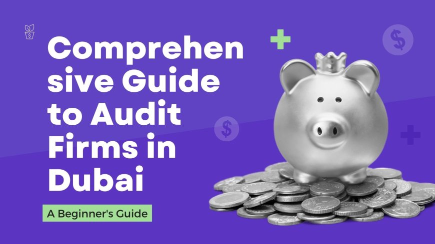 Comprehensive Guide to Audit Firms in Dubai