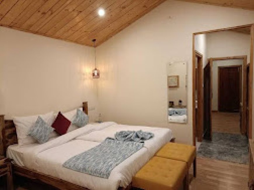 How to Find the Best Luxury Resorts in Shimla to Stay With Friends