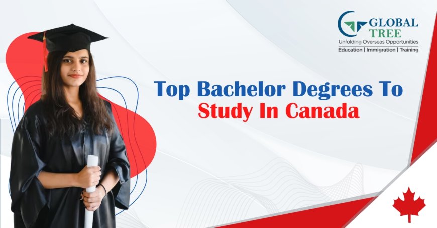 Top 5 Bachelor Degrees to Consider Studying in Canada