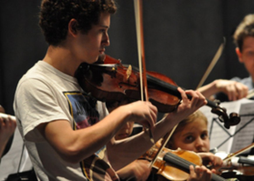 Choosing The Right Suzuki Violin Teacher Training Program: Key Considerations