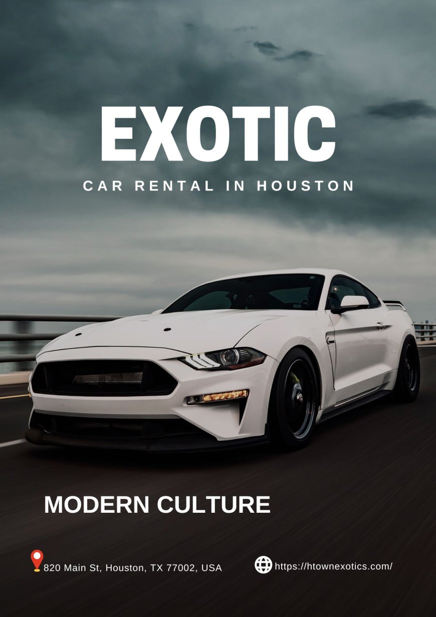 Spend a Day in Style with an Exotic Car Rental in Houston