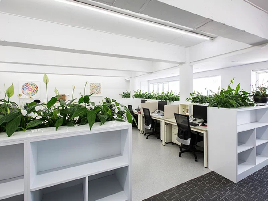 Nurturing Growth: The Vital Role of Corporate Indoor Plant Designers and Maintenance Services