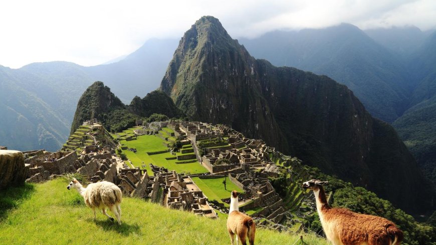 Trailblaze Through Lush Paradise on a Parque Manu Peru Tour