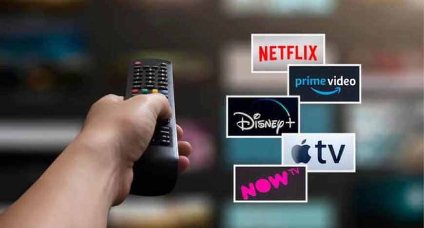 Several Popular Entertainment Streaming Platforms Dominate the Market