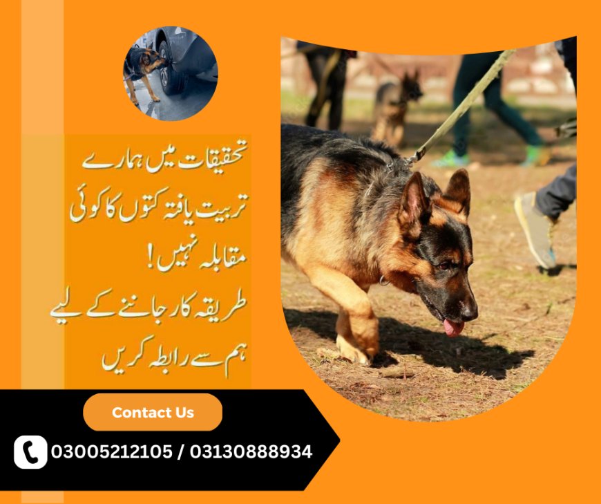 Heroic Canines of Pakistan into the Army Dog Center