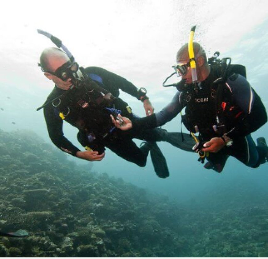 Safety Rules To Become a Confident Scuba Diver