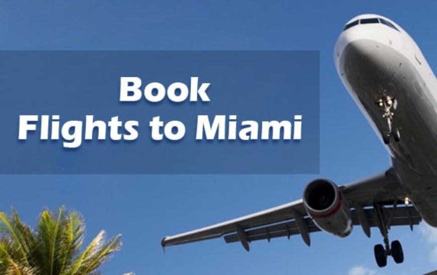 Flights From Boise to Miami