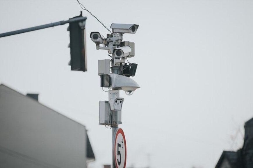 Why Should Organizations Invest in Border Surveillance?