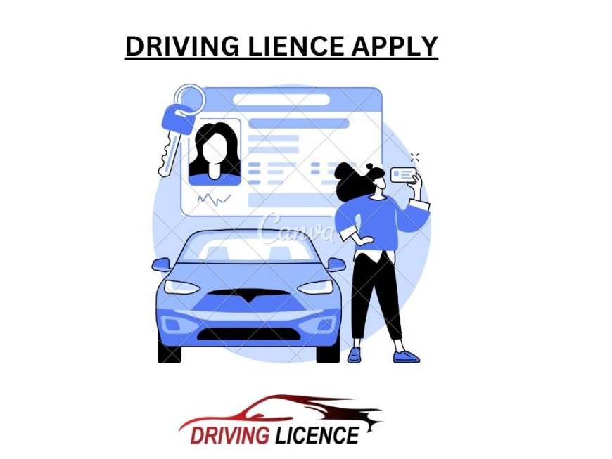 How to apply for a driving license online