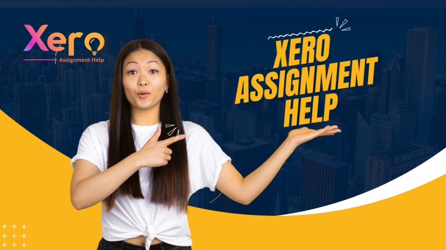 Xero Assignment Help: A Lifeline for Accounting Students