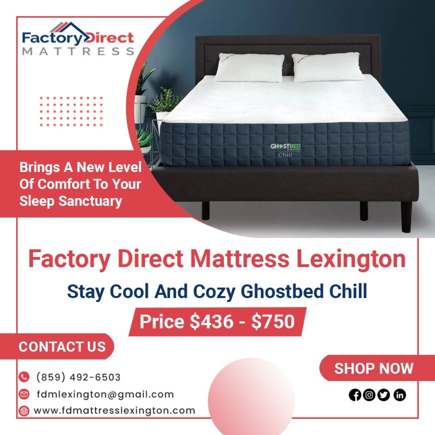 Fd Mattress Lexington: Affordable Comfort for Winchester, KY - King Mattresses Galore in Georgetown