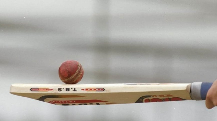 The Art and Science Behind the Cricket Bat