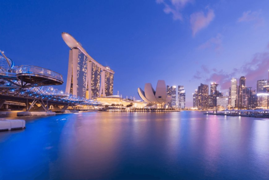 Navigating Regulatory Compliance: A Comprehensive Guide to Declaring Agents in Singapore