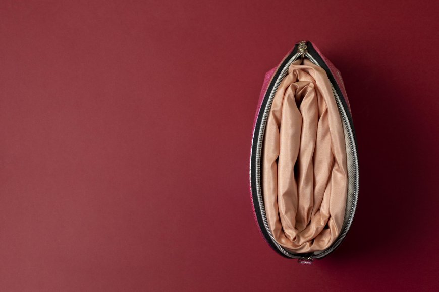 Above the Surface: An Infectious Exploration into Vulva Anatomy