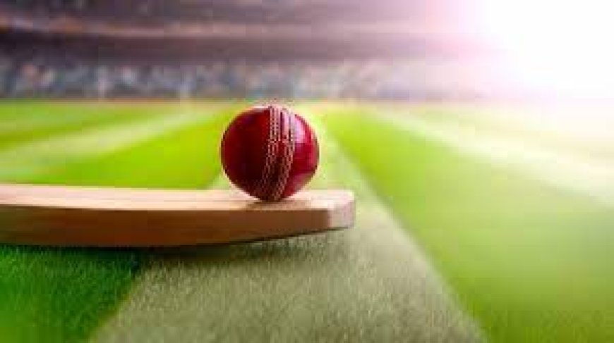 What is Powerplay Betting in T20 Cricket?