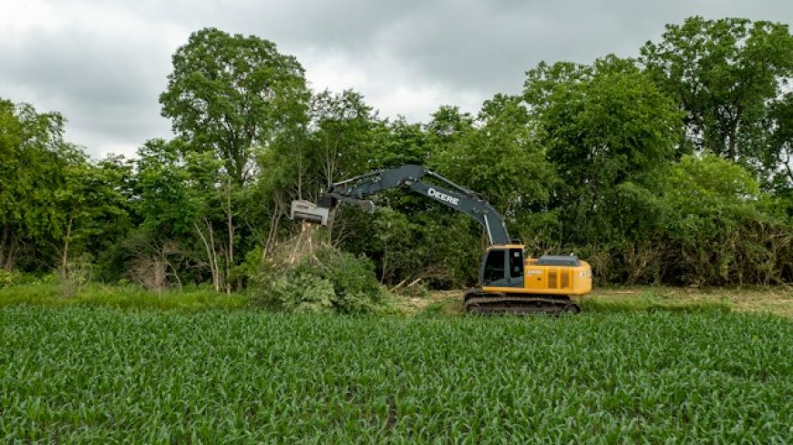 From Eyesore to Beautiful Landscape: Transforming Your Yard with Ottawa Tree Stump Removal