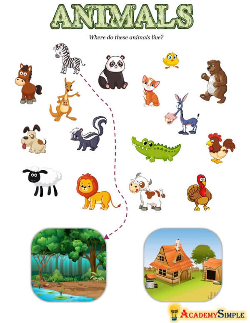 Classifications of Animals Worksheets