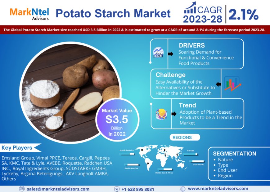 Potato Starch Market Share, Growth, Trends Analysis, Business Opportunities and Forecast 2028: Markntel Advisors