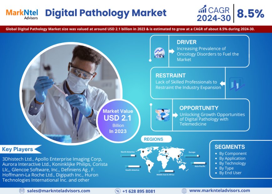 Digital Pathology Market Hits USD 2.1 Billion Valuation in 2023, Projects 8.5% CAGR Growth
