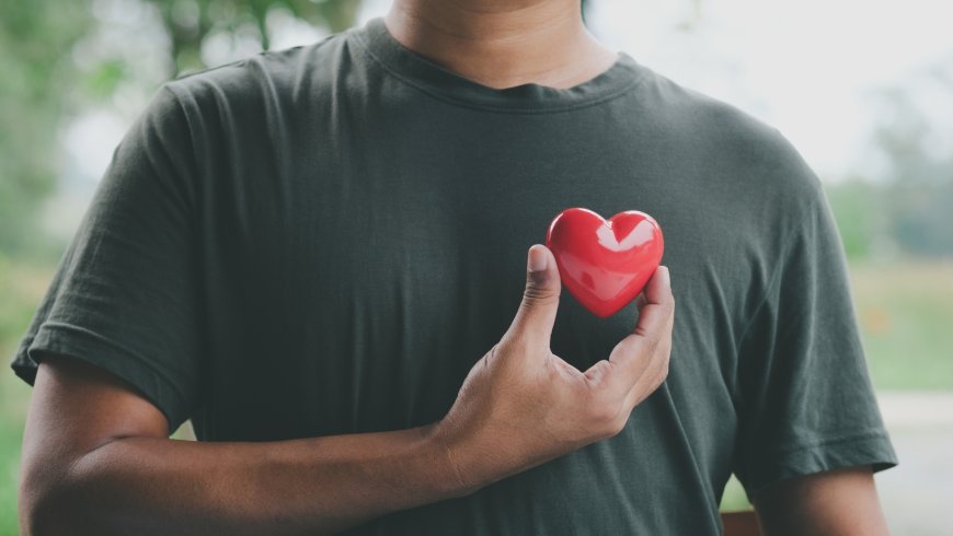 Beating for Life : Understanding Cardiovascular Wellness
