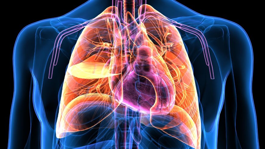 Breathing Right : Tips for Healthy Respiratory Function