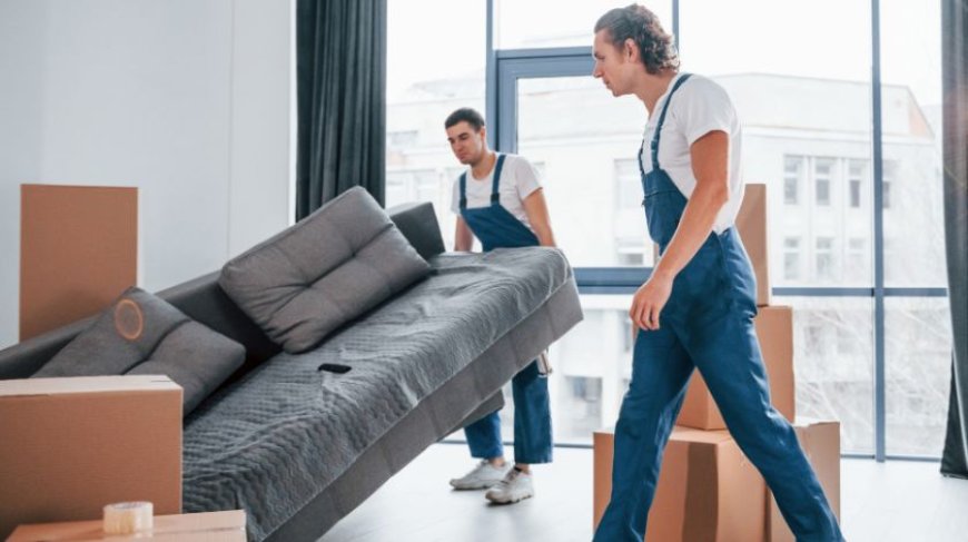 Stress-Free Relocation: Packers and Movers in Noida