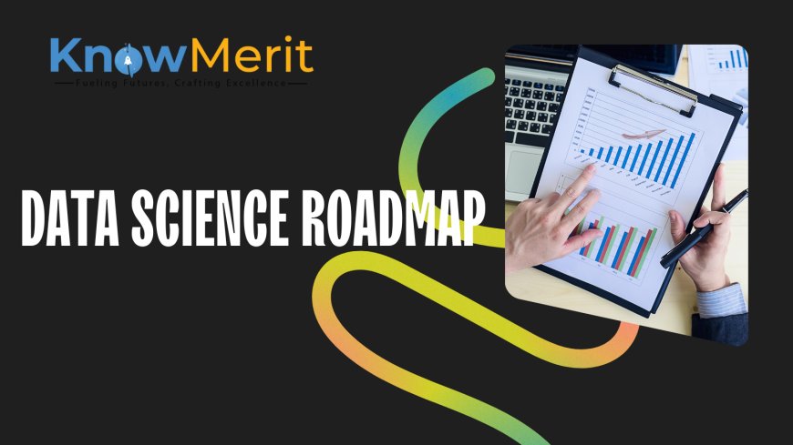 7 Steps to Navigate Your Data Science Roadmap to Success