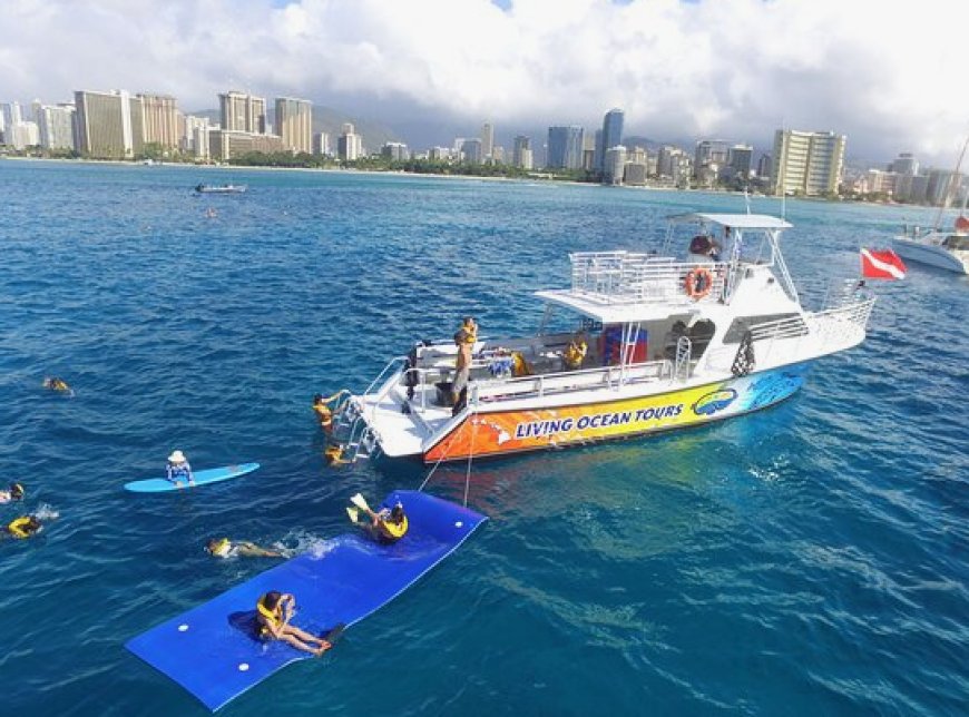 Unlocking a Lifetime of Memories: How Tours in Honolulu Offer Unforgettable Experiences