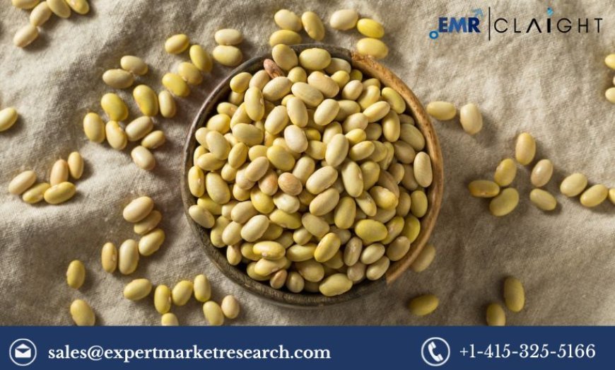 Unveiling the Health Benefits of Mayocoba Beans: A Nutritional Powerhouse Gaining Traction