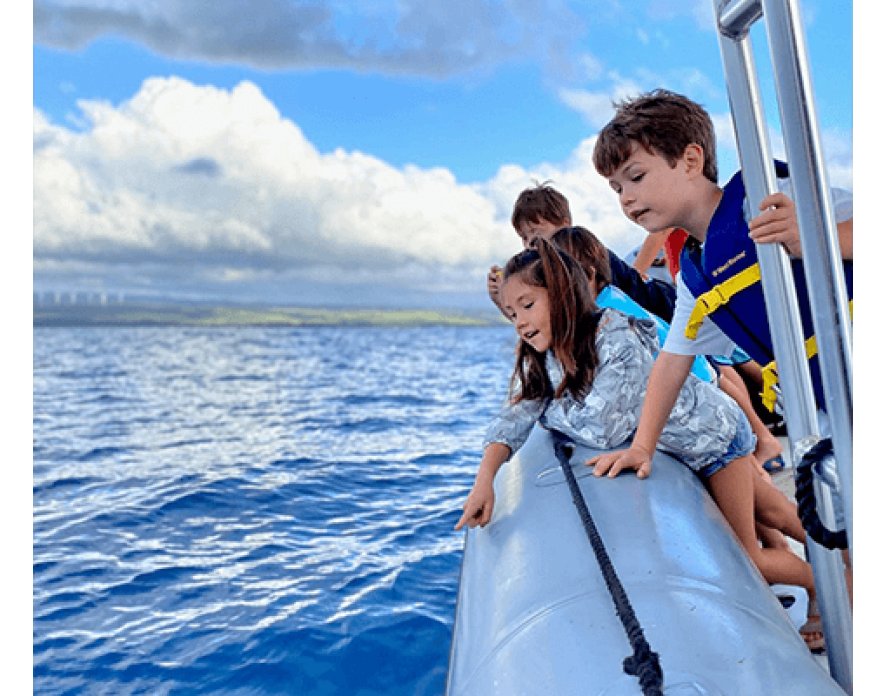 Unlocking the Secrets of Humpback Whales in Hawaii