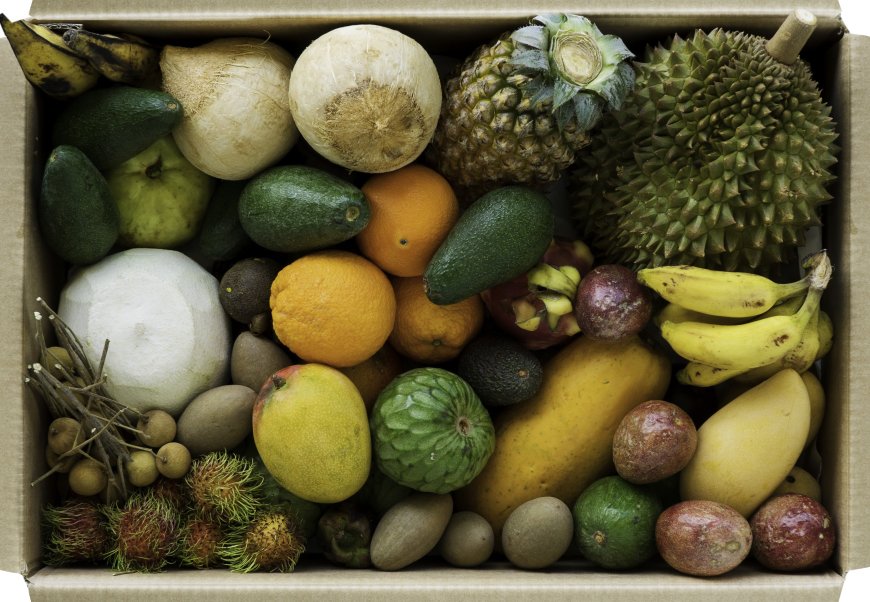 JurassicFruit: A Spectacular Variety of Tropical, Rare, and Organic Fruits
