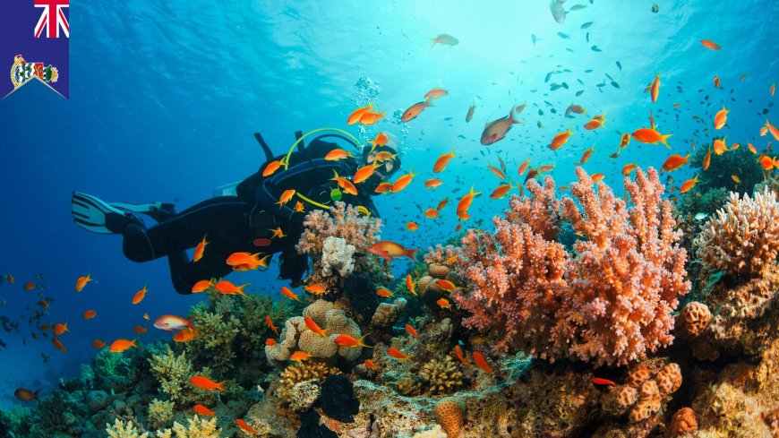 Underwater Wonders: Top Scuba Diving Spots You Won't Believe Exist in the Caribbean