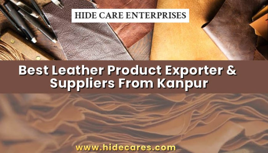 Best Leather Products Exporter and Supplier From Kanpur