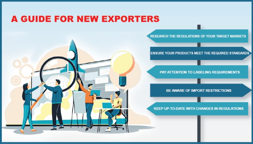 Analysis Market Regulations: A Guide for New Exporters