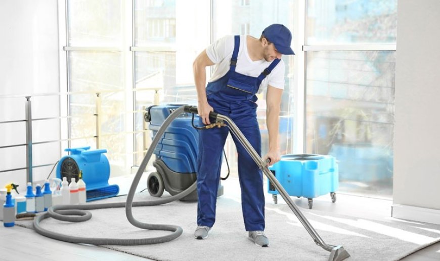 Best Office Carpet Cleaning Services in Brisbane