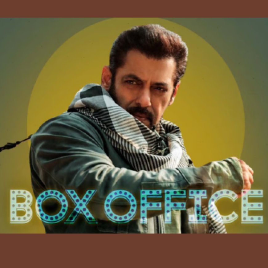 Bollywood Box Office Collection 2024 Report & Verdict India