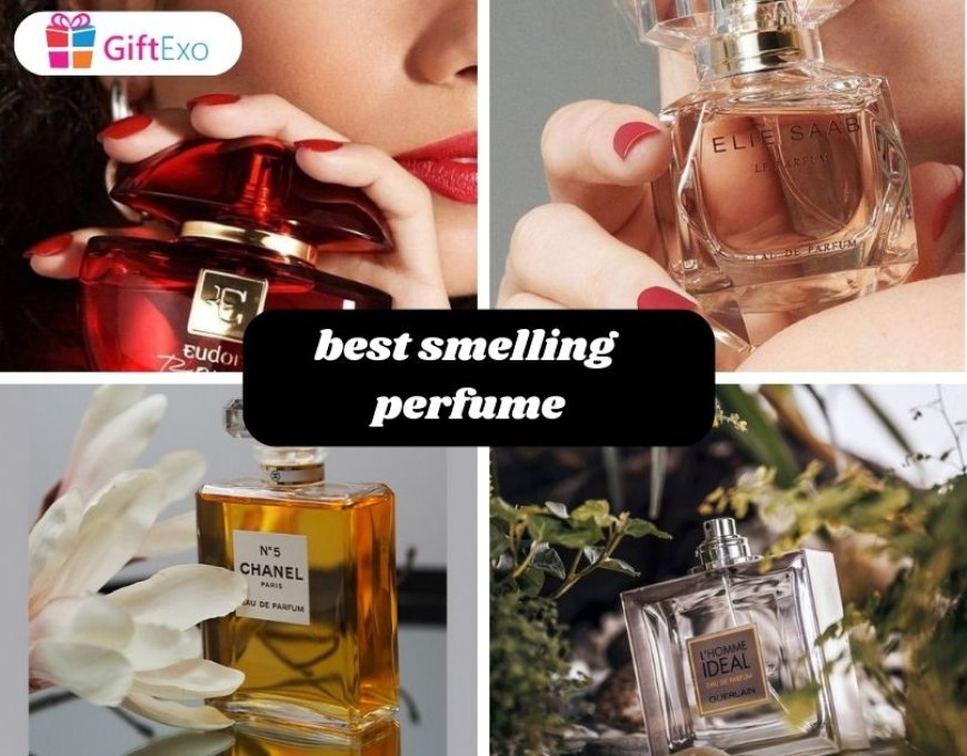 Best Long lasting perfume for women and men