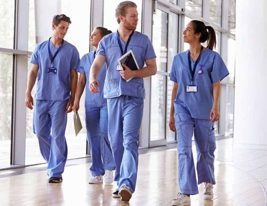 Elite Learning Environments: Colleges Setting the Bar in Nursing Education